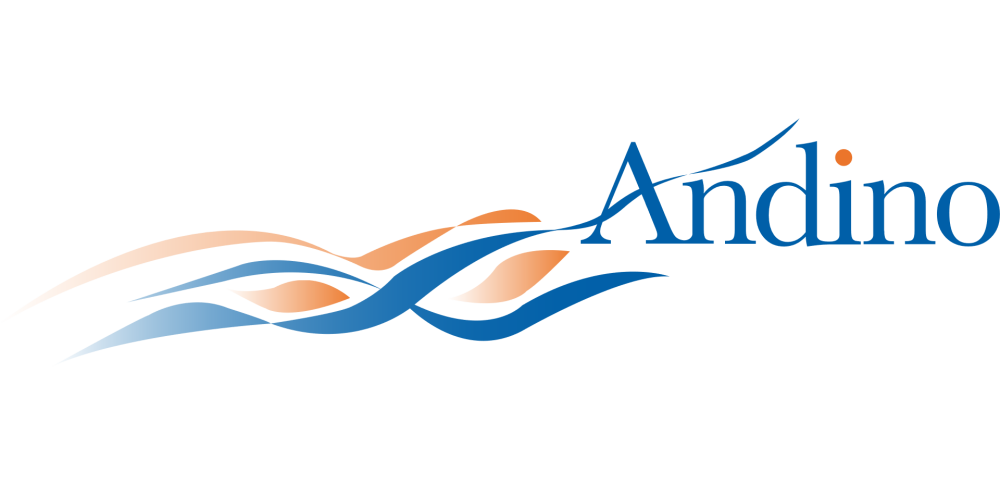 Andino (Andichem) Chemical International LLC 