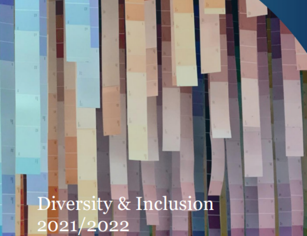 Diversity & Inclusion Reimagined Report - 2nd phase (2022)